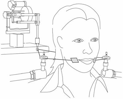 Auditory and Somatosensory Interaction in Speech Perception in Children and Adults